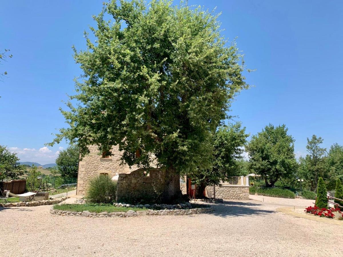 La Quercia B&B Abbateggio Ngoại thất bức ảnh